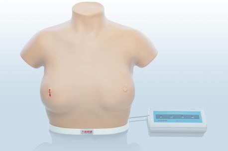 電子乳腺癌觸診、視診訓練模型